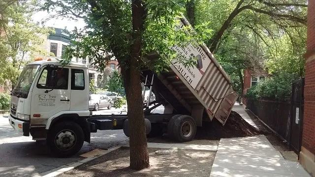 Expert outdoor landscaping in Chicago, IL - E-Z Tree Recycling