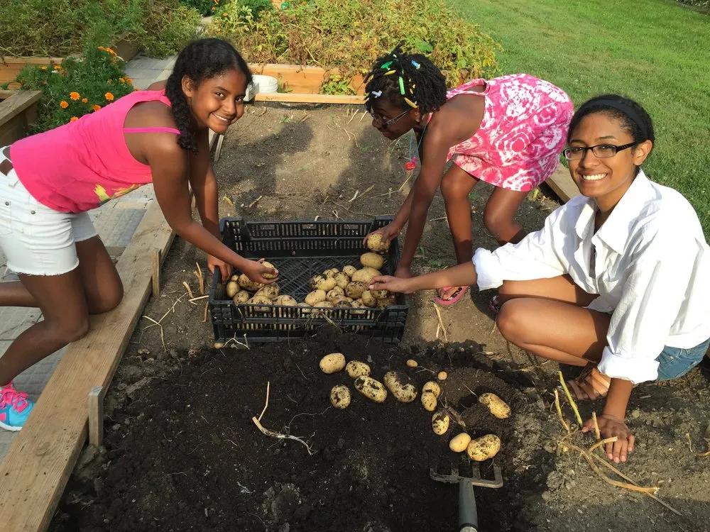 Custom lawn mowing service experts serving Chicago, IL - E-Z Tree Recycling