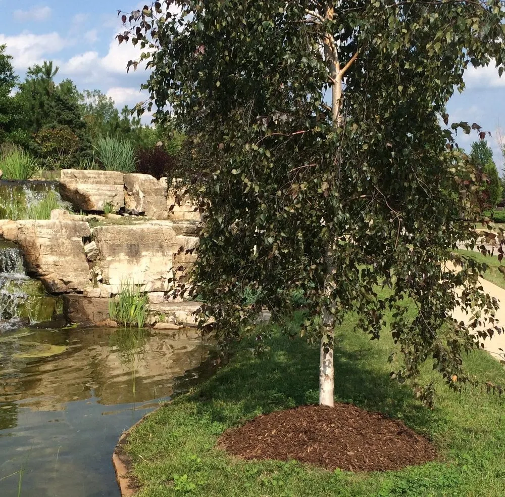 Reliable landscape installation with custom design in Chicago, IL by E-Z Tree Recycling