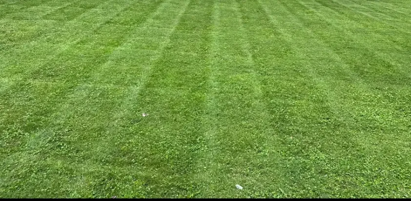 Top-rated landscaping services experts serving Conklin, NY - E3 Lawn Services