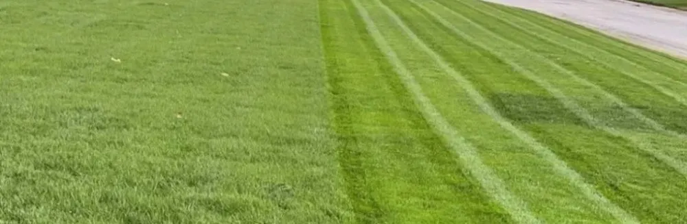 Local residential landscaping for beautiful yards in Conklin, NY by E3 Lawn Services