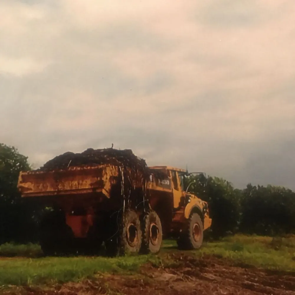 Affordable garden landscaping for homes across Orlando, FL - E.A. Barber Landclearing and Pond Restoration