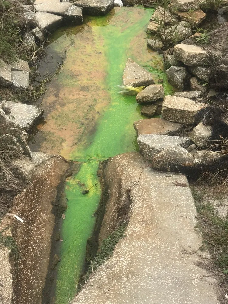 Trusted yard cleanup service for year-round maintenance across Orlando, FL - E.A. Barber Landclearing and Pond Restoration