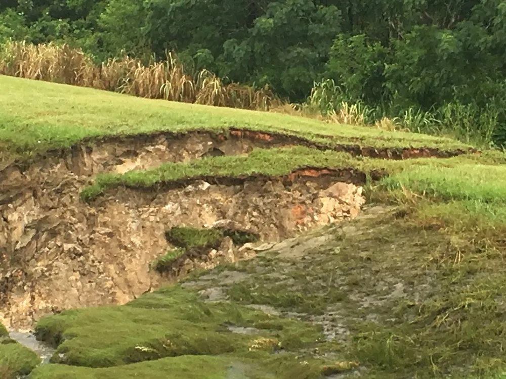 Custom residential landscaping for year-round maintenance in Orlando, FL by E.A. Barber Landclearing and Pond Restoration