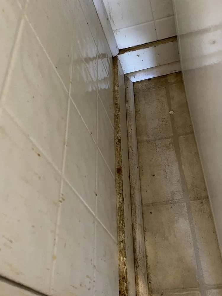 Reliable garden landscaping in Mount Pleasant, TX by E&A Housekeeping