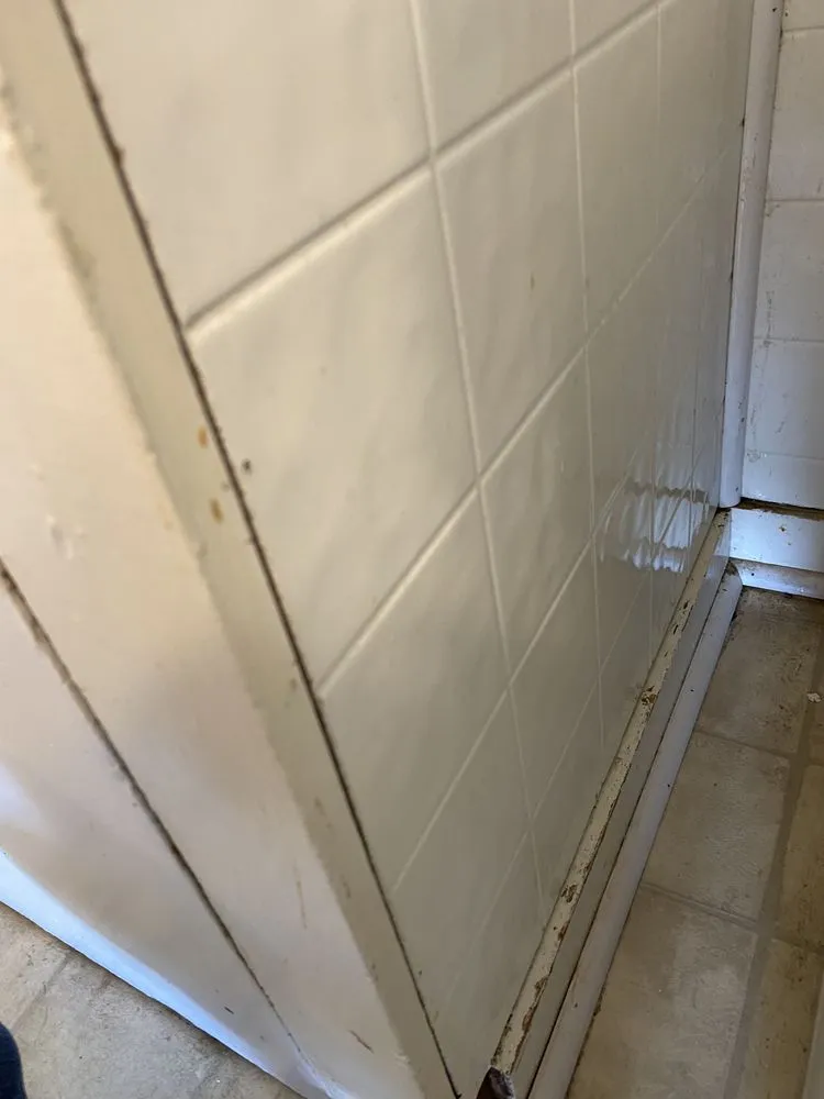 Trusted lawn care service for outdoor upgrades across Mount Pleasant, TX - E&A Housekeeping