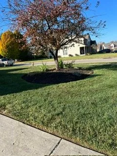 Expert landscaping services for year-round maintenance in Hamilton, OH by EA Ideal Solutions