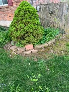 Custom yard cleanup service in Hamilton, OH by EA Ideal Solutions