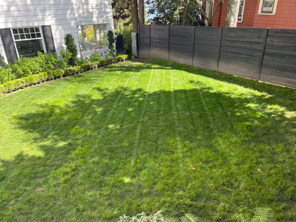 Reliable landscape installation in Kenmore, WA - E&A Landscape
