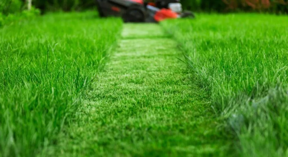 Expert garden landscaping for homes across Chester, VA - EA Landscaping