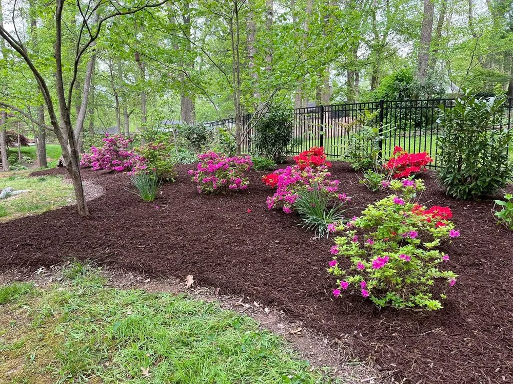 Professional lawn care service for outdoor upgrades in Clarksville, TN by E&A Lawn & Landscaping