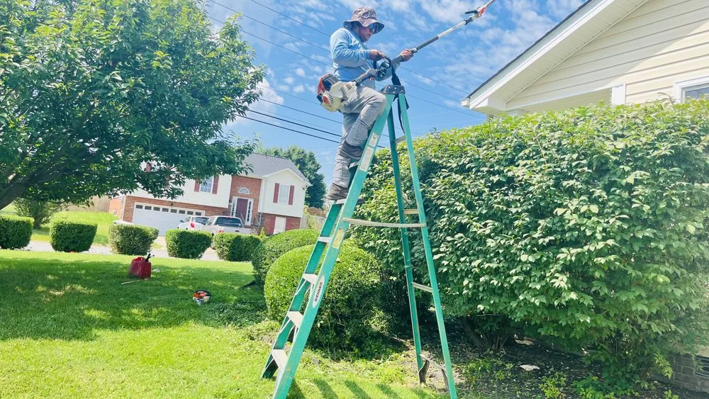 Professional outdoor landscaping in Clarksville, TN by E&A Lawn & Landscaping