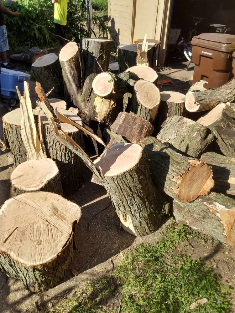 Professional outdoor landscaping near you across Rockford, IL - E&A Lawn Care Tree Care and More