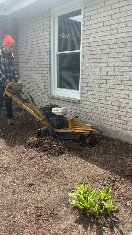 Custom landscape design in Rockford, IL by E&A Lawn Care Tree Care and More