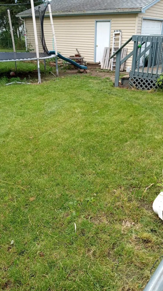 Trusted lawn mowing service for residential properties in Rockford, IL by E&A Lawn Care Tree Care and More