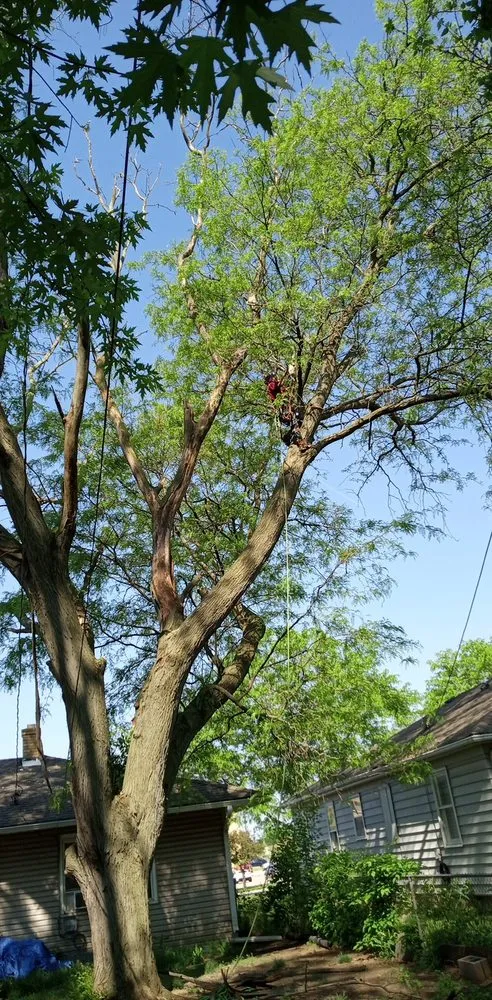 Local lawn care service experts serving Rockford, IL - E&A Lawn Care Tree Care and More