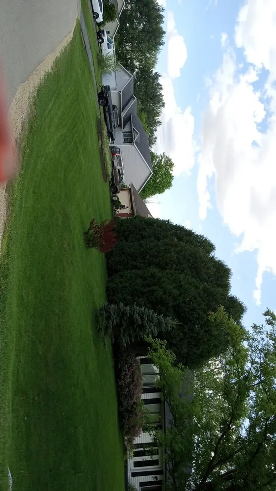 Expert yard cleanup service for outdoor upgrades across Rockford, IL - E&A Lawn Care Tree Care and More