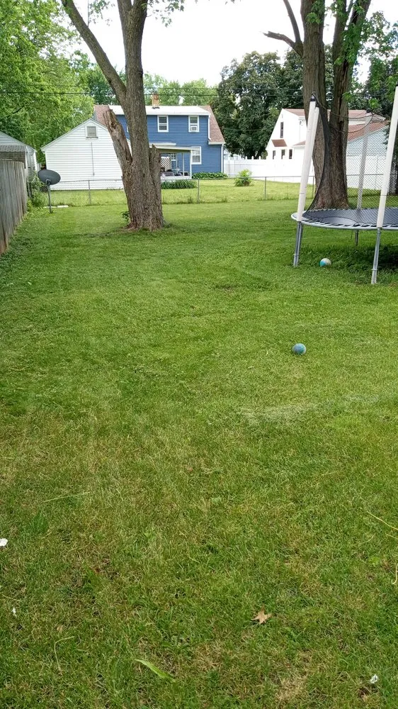 Professional garden landscaping in Rockford, IL by E&A Lawn Care Tree Care and More