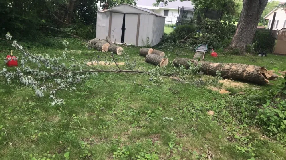 Custom landscape design experts serving Rockford, IL - E&A Lawn Care Tree Care and More