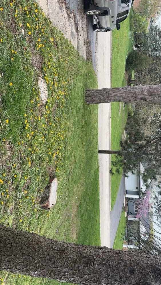 Custom yard maintenance experts serving Rockford, IL - E&A Lawn Care Tree Care and More