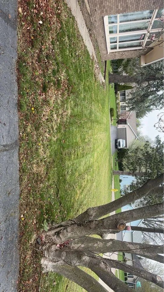 Reliable landscape design in Rockford, IL by E&A Lawn Care Tree Care and More