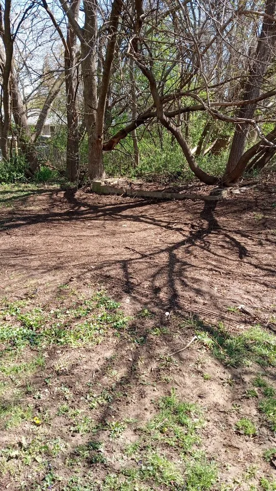 Expert yard maintenance in Rockford, IL - E&A Lawn Care Tree Care and More