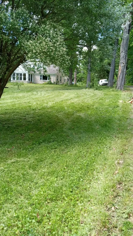 Professional landscape installation experts serving Rockford, IL - E&A Lawn Care Tree Care and More