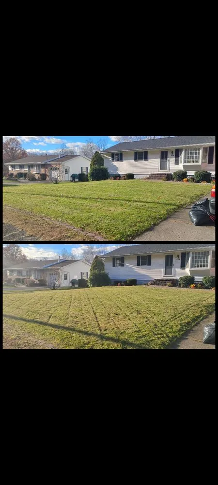 Top-rated yard cleanup service for outdoor upgrades across Carbondale, PA - E&A Lawncare