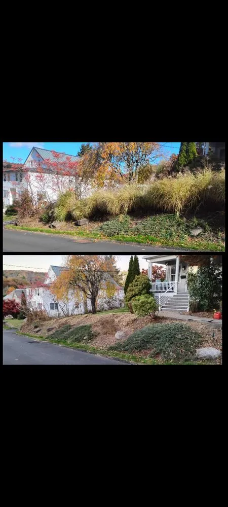 Affordable yard cleanup service in Carbondale, PA - E&A Lawncare