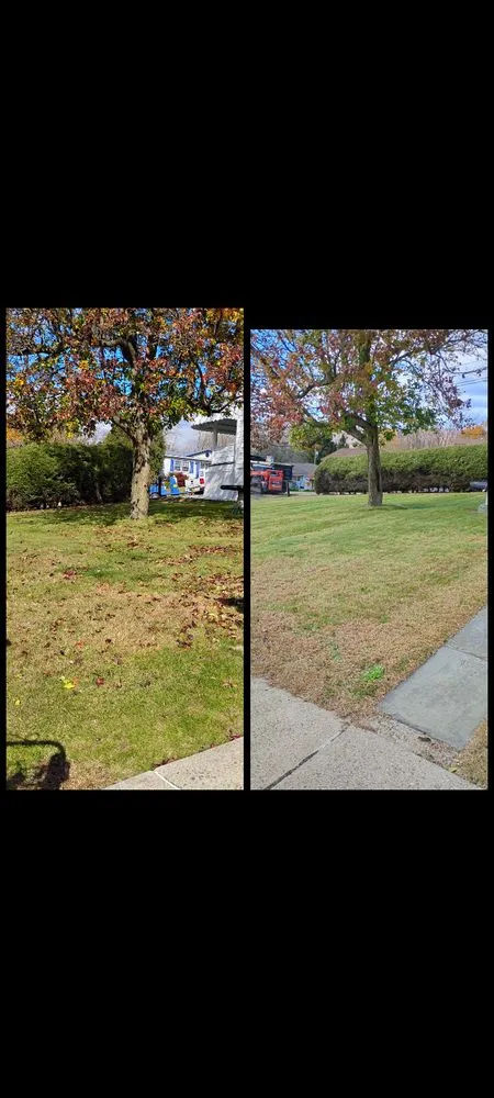 Expert landscape installation for outdoor upgrades across Carbondale, PA - E&A Lawncare