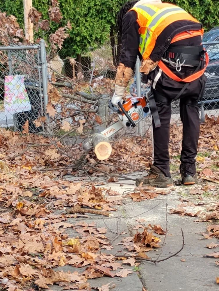 Professional garden landscaping near you in Carbondale, PA by E&A Lawncare