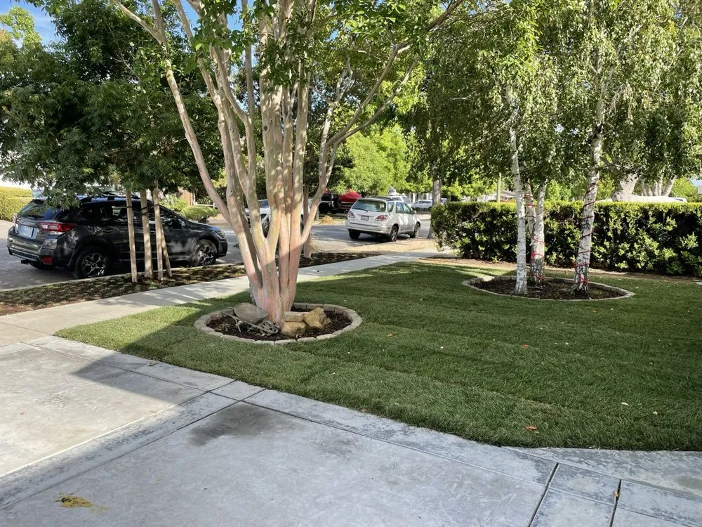 Affordable yard cleanup service for beautiful yards in East Palo Alto, CA by E&A Venados