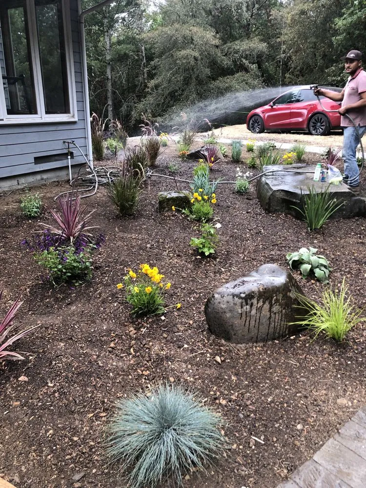 Professional yard maintenance experts serving East Palo Alto, CA - E&A Venados