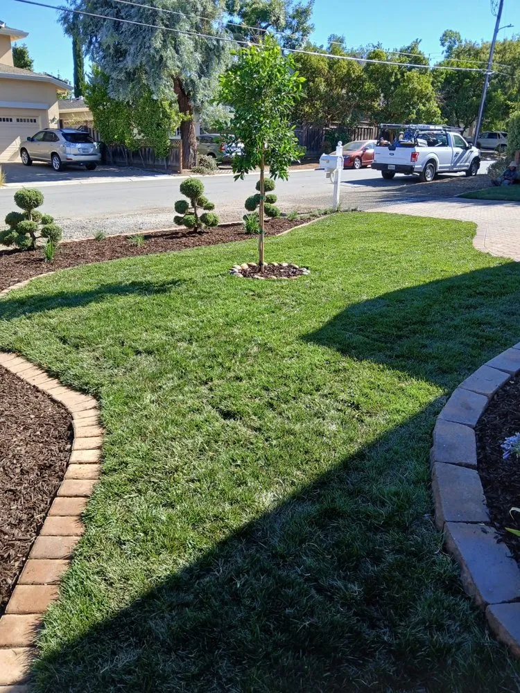 Affordable landscape installation experts serving East Palo Alto, CA - E&A Venados
