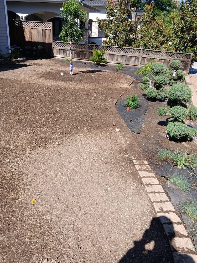 Custom yard cleanup service in East Palo Alto, CA - E&A Venados