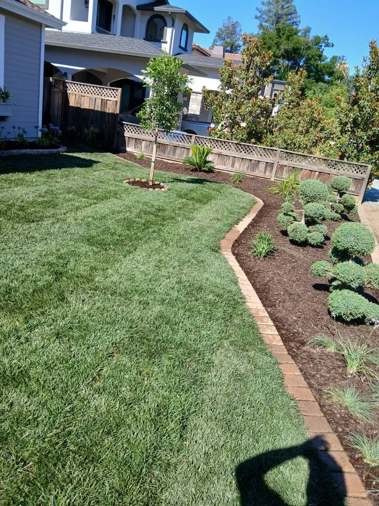Affordable outdoor landscaping for homes across East Palo Alto, CA - E&A Venados