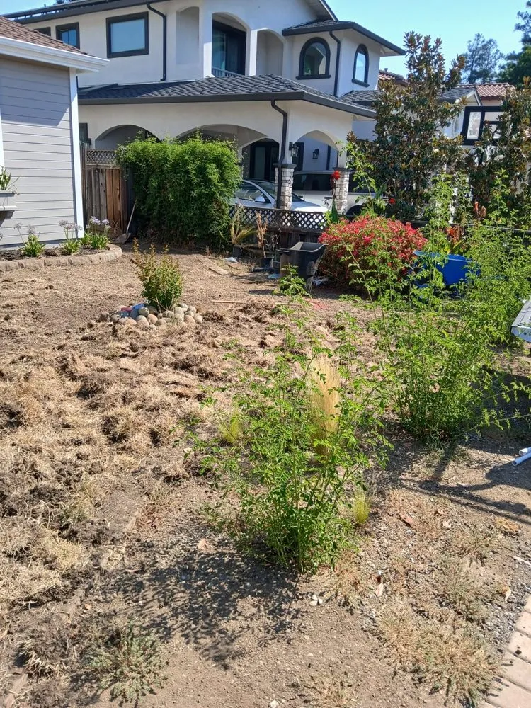 Affordable landscape design in East Palo Alto, CA by E&A Venados