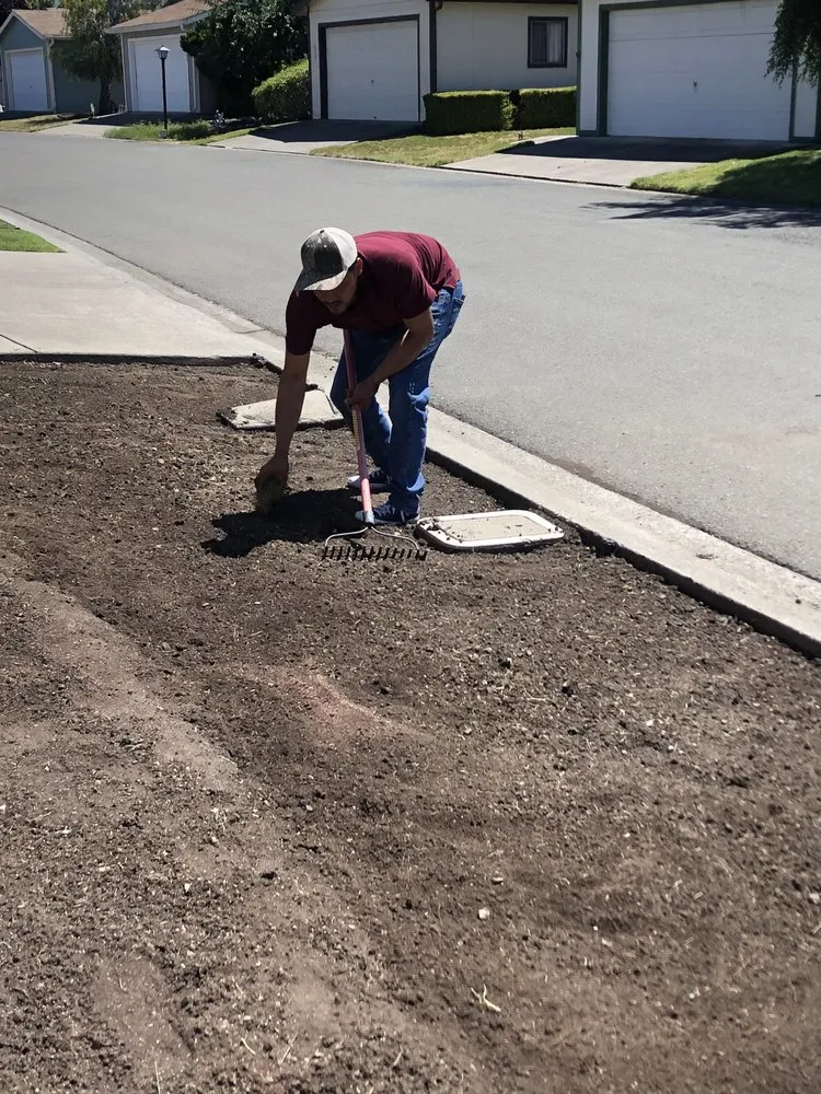 Custom yard maintenance for homes across East Palo Alto, CA - E&A Venados