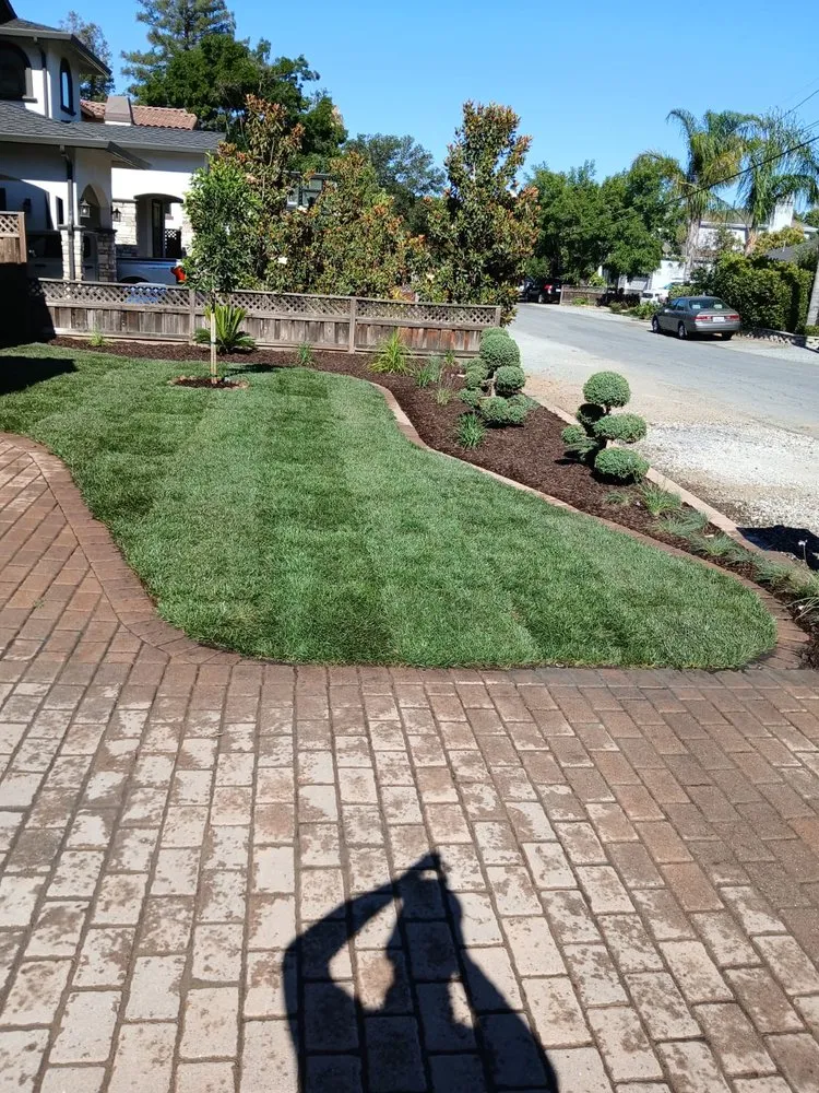 Professional landscaping services for outdoor upgrades in East Palo Alto, CA by E&A Venados