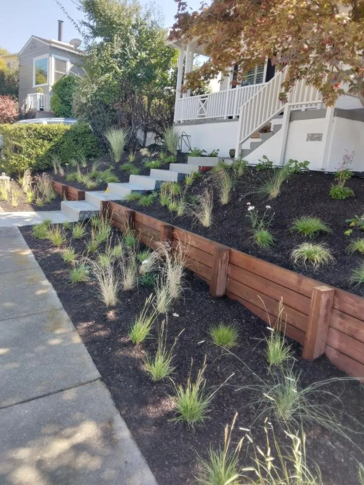Affordable yard maintenance in East Palo Alto, CA by E&A Venados
