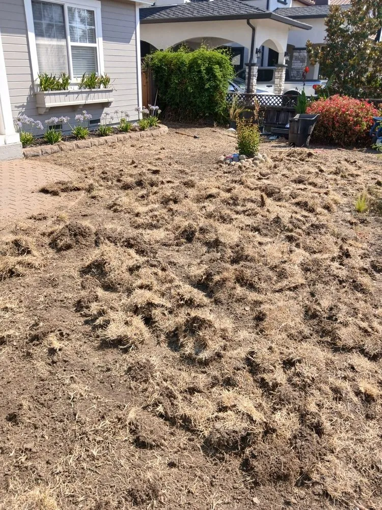 Local residential landscaping near you in East Palo Alto, CA by E&A Venados