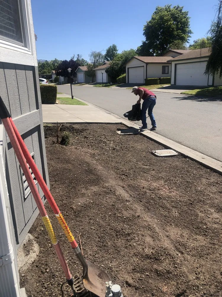 Expert yard maintenance experts serving East Palo Alto, CA - E&A Venados