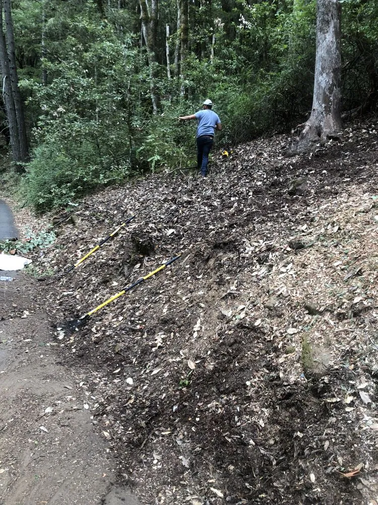 Local yard maintenance for outdoor upgrades in East Palo Alto, CA by E&A Venados