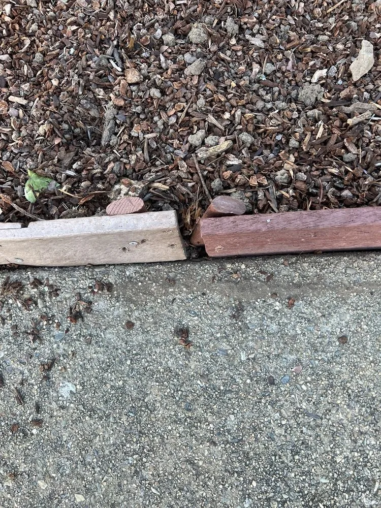 Affordable yard cleanup service for beautiful yards across East Palo Alto, CA - E&A Venados