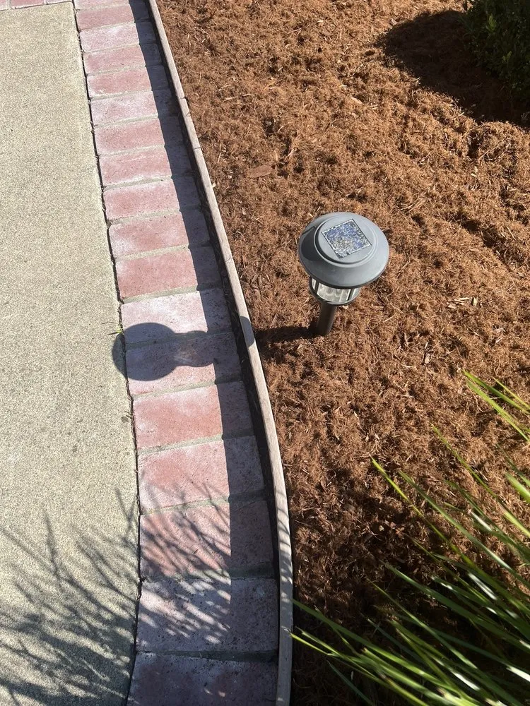 Expert yard cleanup service in East Palo Alto, CA by E&A Venados