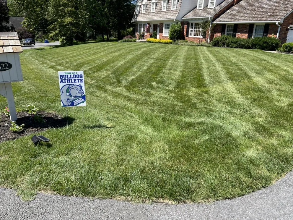 Custom outdoor landscaping experts serving Silver Spring, MD - EAA Landscaping