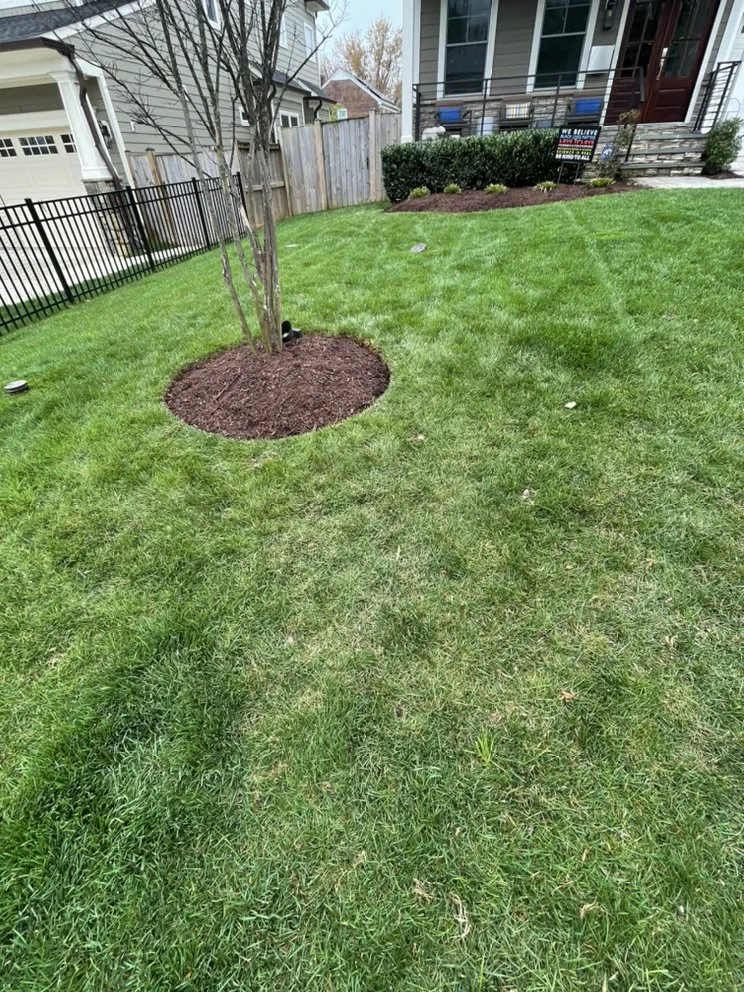 Reliable landscape installation in Silver Spring, MD - EAA Landscaping