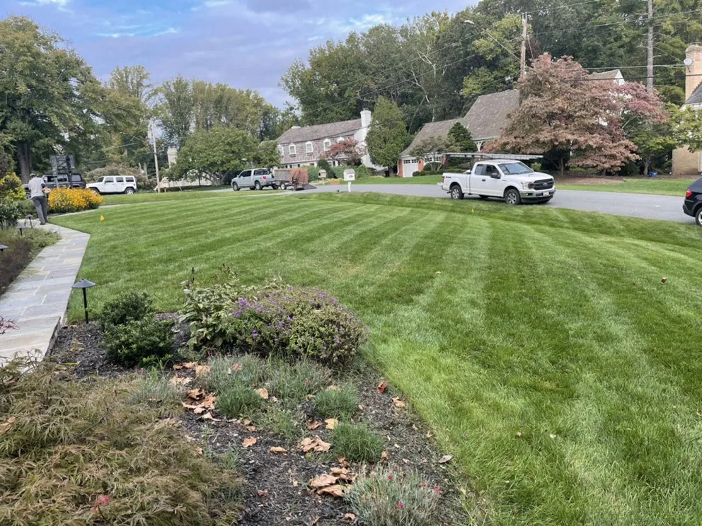 Affordable landscaping services for residential properties across Silver Spring, MD - EAA Landscaping