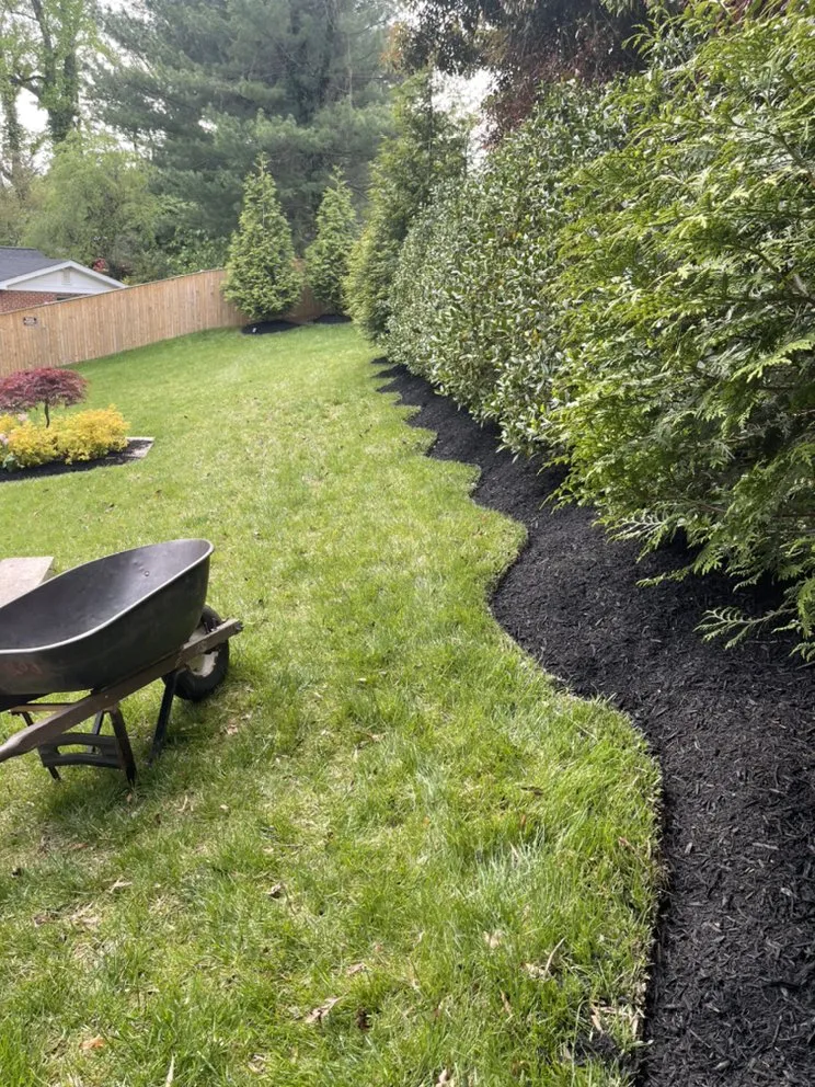Trusted outdoor landscaping experts serving Silver Spring, MD - EAA Landscaping