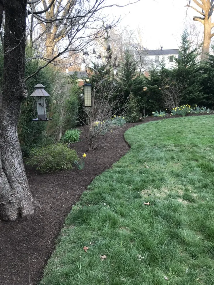 Professional landscaping services experts serving Silver Spring, MD - EAA Landscaping